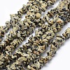 Natural Dalmatian Jasper Beads Strands X-G-P332-20-1