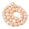 Natural Cultured Freshwater Pearl Beads Strands PEAR-P064-19I-01A-3