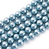 Shell Pearl Beads Strands BSHE-K015-6mm-02-1