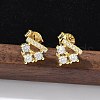 925 Sterling Silver Clear Cubic Zirconia Stud Earrings EJEW-Q032-01C-G-1