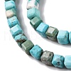 Natural Howlite Beads Strands G-G001-A03-06-4