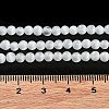 Cat Eye Beads Strands CE-F022-4mm-15-5