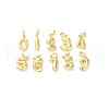 Brass Pendants KK-L227-012G-1