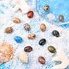 Gemstone Cabochons G-H1596-30x22x5mm-M-4