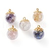 Natural Mixed Gemstone Chip Pendants X-PALLOY-JF00593-1