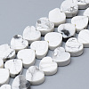 Natural Howlite Bead Strands G-T074-15-1