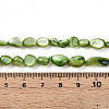 Natural White Shell Beads Strands SHEL-N036-21D-4