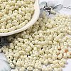 Baking Paint Glass Seed Beads SEED-K009-01A-22-1