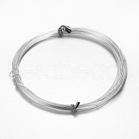 0.25 0.35 0.38 0.6 1.0 mm  Stainless steel beading wire Charm jewellery finding