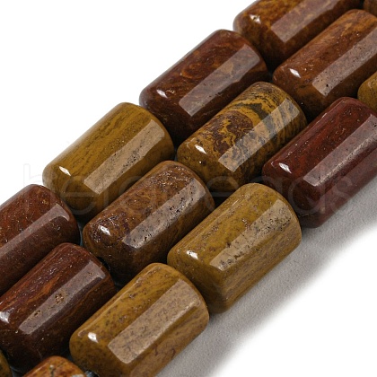 Natural Petrified Wood Beads Strands G-M420-E06-03-1