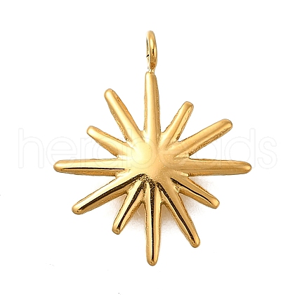 304 Stainless Steel Pendants STAS-R159-01G-1
