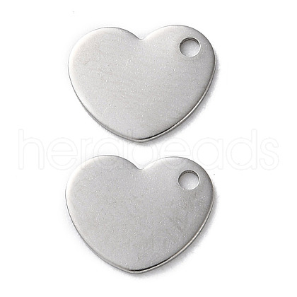 304 Stainless Steel Charms STAS-V007-03H-P-1