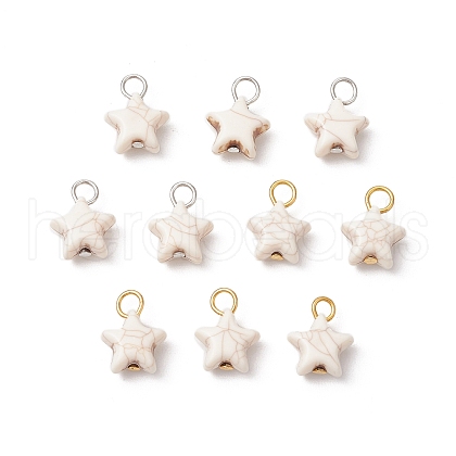 Crackle Opaque Acrylic Pendants PALLOY-JF03924-1