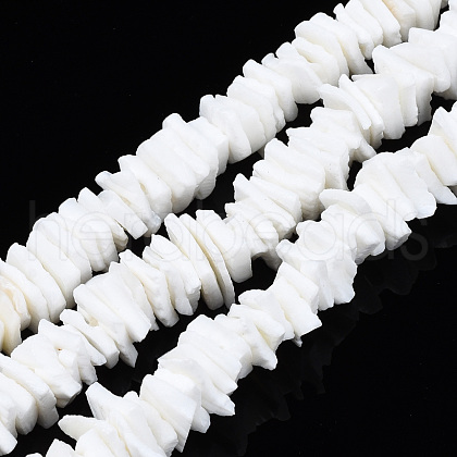 Natural White Shell Beads Strands X-SSHEL-S266-029-1