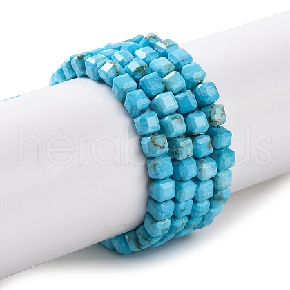 Natural Howlite Beads Strands G-G001-A03-04-1