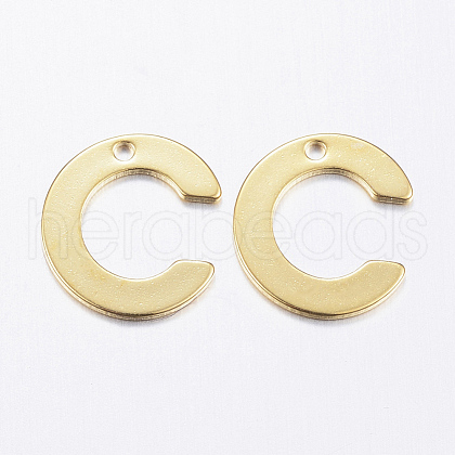 304 Stainless Steel Charms X-STAS-P141-C-1