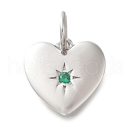 925 Sterling Silver Micro Pave Clear Cubic Zirconia Charms STER-V001-01P-05-1