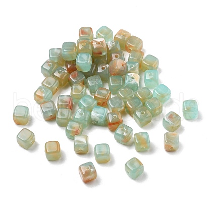 Transparent Acrylic Beads TACR-P013-A03-A-1