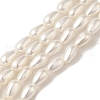 Electroplate Shell Pearl Beads Strands BSHE-G010-4x6mm-01-1