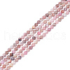  2 Strands Natural Rhodonite Beads Strands G-NB0004-18-1