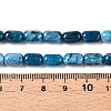 Natural Apatite Beads Strands G-G980-51B-5