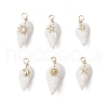 6Pcs 6 Styles Natural Shell Pendants PALLOY-JF03882-1