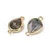 Natural Labradorite Faceted Connector Charms G-L514-048P-05-2