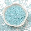 Ceylon Glass Seed Beads SEED-K009-02B-33-2