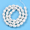 Natural Cultured Freshwater Pearl Beads Strands PEAR-N012-AA-01-3