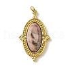 Ion Plating(IP) 304 Stainless Steel Pave Faceted Natural Rhodonite Pendants FIND-Z028-40A-1