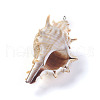 Spiral Shell Pendants BSHE-G019-04P-3