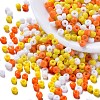 6500Pcs 300G 3 Colors Glass Seed Beads SEED-LS0001-04-1