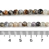 Natural White African Opal Beads Strands G-H062-A06-05-5
