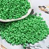 Baking Paint Glass Seed Beads SEED-S042-05A-28-1