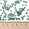 MIYUKI Round Rocailles Beads SEED-X0055-RR0173-4