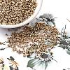 12/0 Electroplate Glass Seed Beads SEED-Q003-01-2