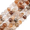 Natural Thousand Layer Lodolite Quartz Beads Strands G-M451-A01-6mm-2