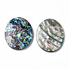 Natural Abalone Shell/Paua Shell Cabochons SSHEL-N034-87-2