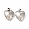 Non-Tarnish 304 Stainless Steel Charms STAS-F289-01P-1