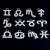 12Pcs 12 Style Alloy Rhinestone Pendants FIND-SZC0010-502-1
