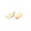 Ion Plating(IP) 304 Stainless Steel Charms STAS-N097-166-2