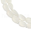 Electroplate Glass Beads Strands EGLA-C009-01B-FR03-3