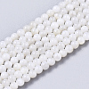 Natural Freshwater Shell Beads Strands X-BSHE-T009-01F-1