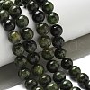Natural Green Diopside Beads Strands G-K382-B01-03-2