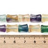 Natural Colorful Fluorite Beads Strands G-H051-B01-02-5
