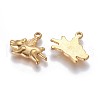 304 Stainless Steel Pendants STAS-I105-52G-2