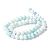 Electroplate Handmade Lampwork Beads Strands LAMP-S068-11H-2