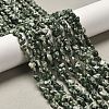 Natural Green Spot Jasper Beads Strands G-P575-C16-6mm-1