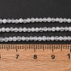 Natural Rainbow Moonstone Beads Strands G-B142-A04-2mm-5