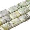 Natural Xinyi Jade/Chinese Southern Jade Beads Strands G-S386-A17-2